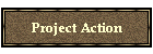 Project Action