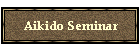 Aikido Seminar